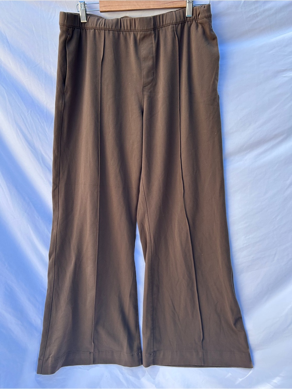 American Eagle Outfitters Brown Pull-On Pants size large NWT